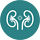 Nephrology